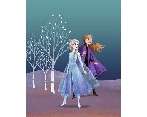 Poster Frozen Sisters