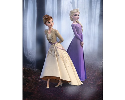 Deux personnages du film La Reine des neiges posent dans la forêt.