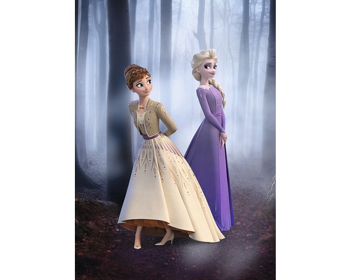 Poster Frozen Wood Walk 70x50 cm