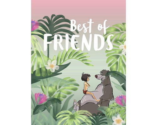Poster Jungle Book Best of Friends 40x30 cm