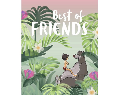 Poster Jungle Book Best of Friends 50x40 cm