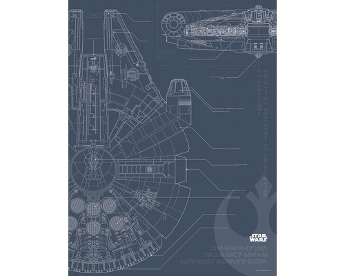 Poster SW Blueprint Falcon 40x30 cm