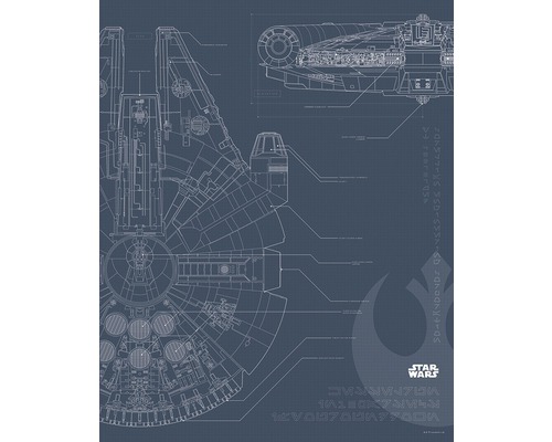 Poster SW Blueprint Falcon 50x40 cm