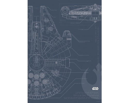 Poster SW Blueprint Falcon 70x50 cm