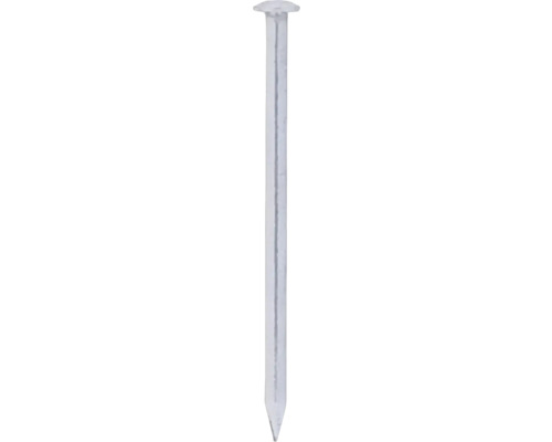 Clous Deltafix tête ronde A2 Ø 2,1 x 40 mm 250 pièces Un seul clou en acier avec une tête plate
