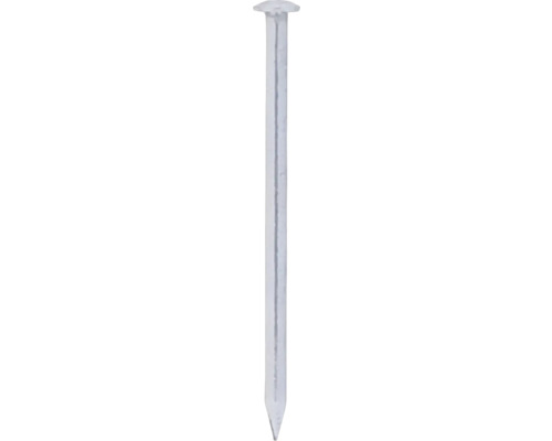 Clous Deltafix tête ronde A2 Ø 2,7 x 55 mm 200 pièces Un seul clou en acier avec une tête plate