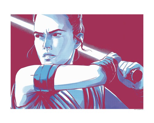 Poster SW Faces Rey
