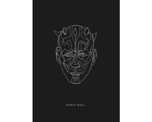 Poster SW Lines Dark Side Maul 70x50 cm