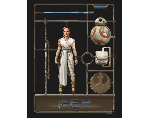 Poster SW Toy Rey
