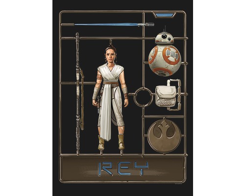 Poster SW Toy Rey 70x50 cm