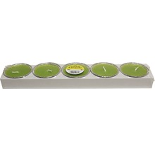 Paquet de cinq bougies chauffe-plat à la citronnelle dans des supports