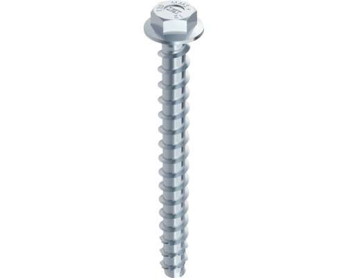 Befestigungsschraube mit Linsenkopf und Flansch