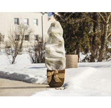 Plante en pot avec protection hivernale dans le jardin.