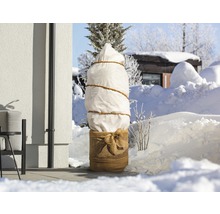 Arbre planté avec housse de protection hivernale dans le jardin sous la neige.