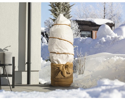 Arbre planté avec housse de protection hivernale dans le jardin sous la neige.