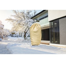 Housse de protection pour plantes dans un jardin d''hiver pour protéger les plantes du froid