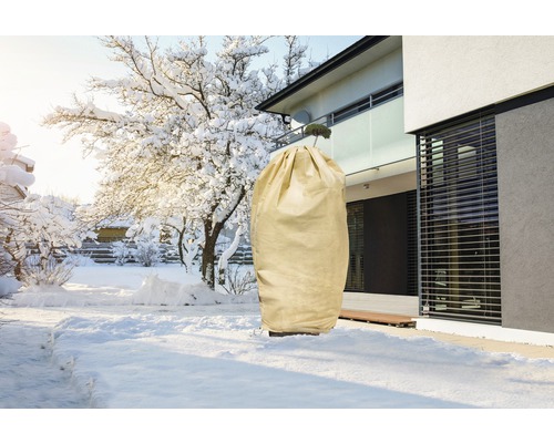 Housse de protection pour plantes dans un jardin d''hiver pour protéger les plantes du froid