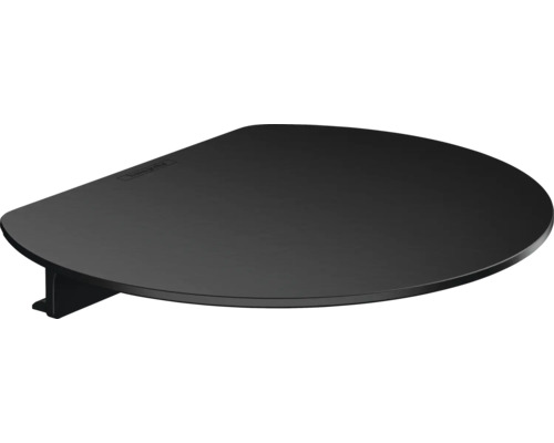 Ablage hansgrohe WallStoris schwarz matt 27915670