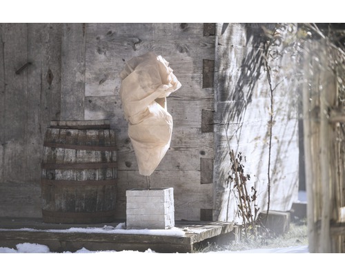 Housse pour plante pour la protection contre le gel sur une colonne de pierre devant une cabane en bois