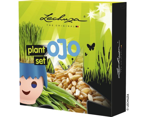 Kit de plantation pour bac à plantes Lechuza Ojo non inclus