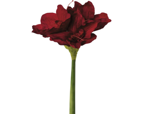 Plante artificielle Amaryllis h 66 cm rouge foncé