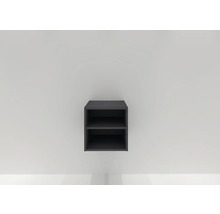 Wandregal Sanox Frozen BxHxT 40 x 40 x 45 cm Frontfarbe black oak