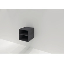 Wandregal Sanox Frozen BxHxT 40 x 40 x 45 cm Frontfarbe black oak