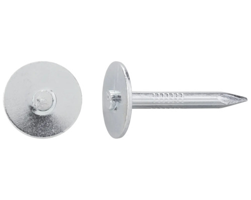 Clou en acier avec tête cylindrique 3,5x30 mm métallisé 200 pièces Deux clous en acier avec tête de disque