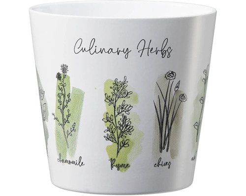cm Ø Dallas Culinary Herbs - Soendgen H 13 HORNBACH cm Übertopf 14 Keramik
