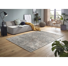 Wohnzimmer mit abstraktem Teppich, Couch und Zimmerpflanzen