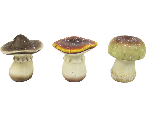 Champignon 8 - 10 cm marron blanc