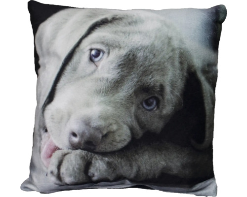Dekokissen mit Fotodruck Hund grau 40x40 cm