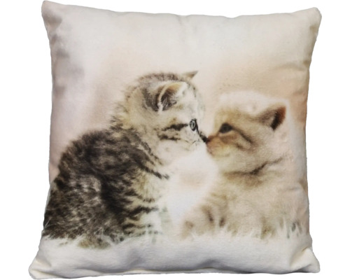 Dekokissen mit Fotodruck zwei Katzen 40x40 cm