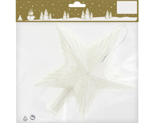 Cime de sapin étoile en plastique