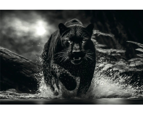 Tableau sur toile Black Panther 150x100 cm HORNBACH