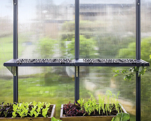 Intérieur de serre avec étagère et bacs à plantes