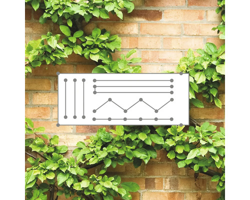 Schéma de différentes configurations de fil tendeur sur un mur de briques avec des plantes vertes