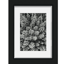 Gerahmtes Bild mit Darstellung von verschneiten Bäumen aus der Vogelperspektive