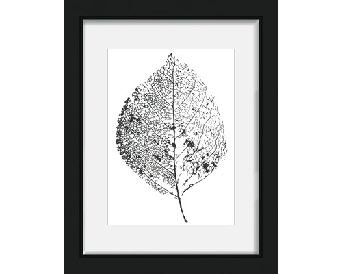 Gerahmtes Bild mit Blattmotiv