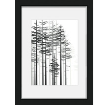 Gerahmtes Bild mit einem Waldmotiv