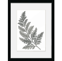 Gerahmtes Bild mit Farnmotiv