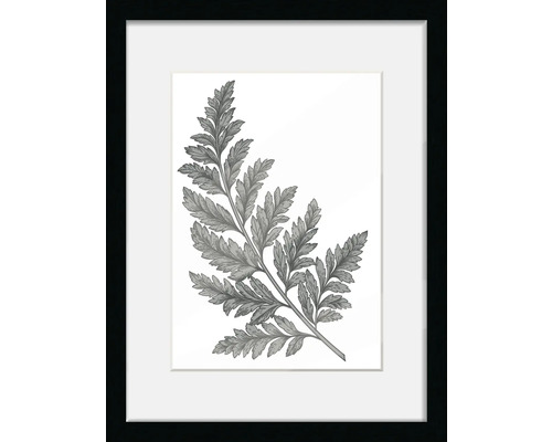 Gerahmtes Bild mit Farnmotiv