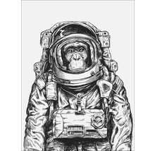Illustration d''un chimpanzé dans une combinaison spatiale