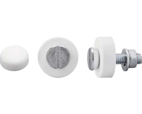 Dresselhaus Vis pour plaque d'immatriculation 6 x 20 mm zinguée blanc 100 pièces Dresselhaus Vis pour plaque d'immatriculation 6 x 20 mm zinguée blanc 100 pièces