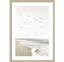 Gerahmtes Bild mit Strand, Meer und Möwenschwarm