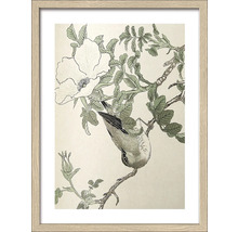 Gerahmtes Bild mit einer Zeichnung eines Vogels auf einem Ast mit Blättern und Blüten.