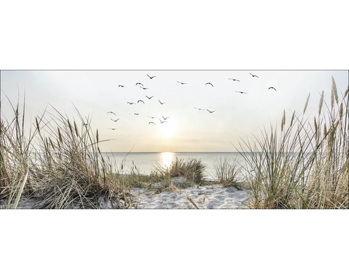 Glasbild Nordic Beach Atmosphere I 125x50 cm