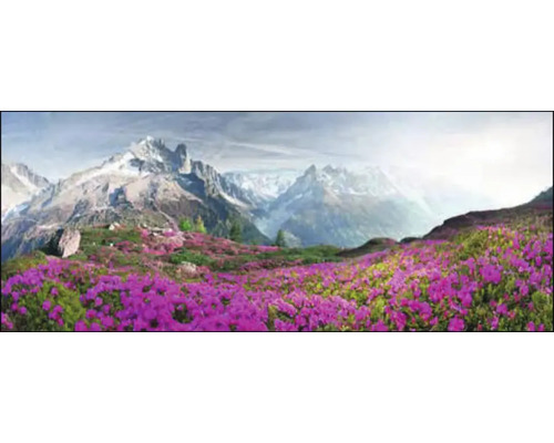 Tulup Tableau murale Impression sous verre 125x50 Lac Fleurs