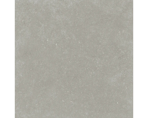 FLAIRSTONE Feinsteinzeug Terrassenplatte Skyfall beige rektifizierte Kante 60 x 60 x 3 cm Graue Bodenfliese