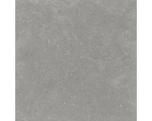 Carreau de sol gris avec surface mate